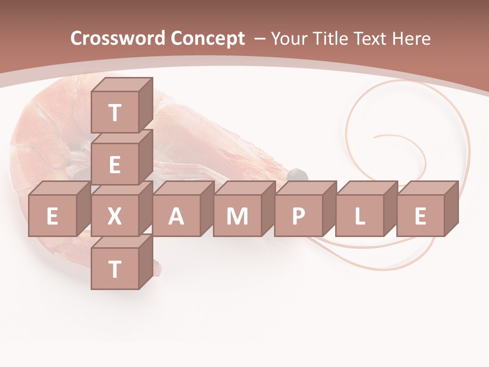 Shrimp Prawn Shellfish PowerPoint Template