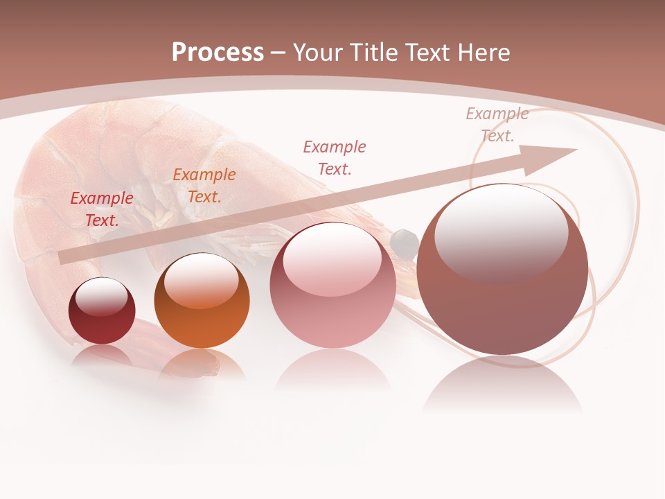 Shrimp Prawn Shellfish PowerPoint Template