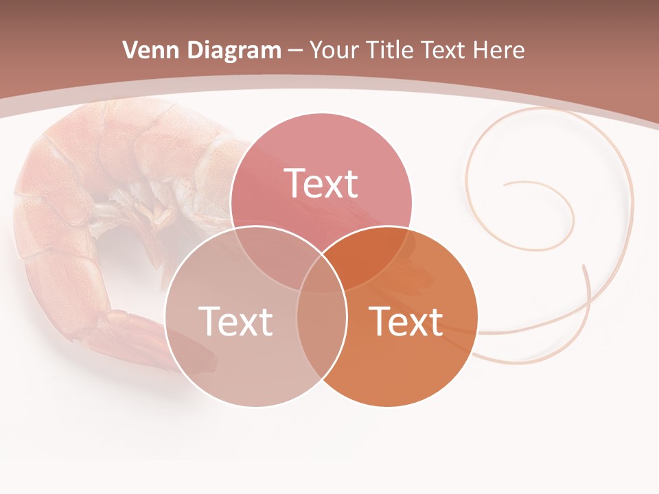 Shrimp Prawn Shellfish PowerPoint Template