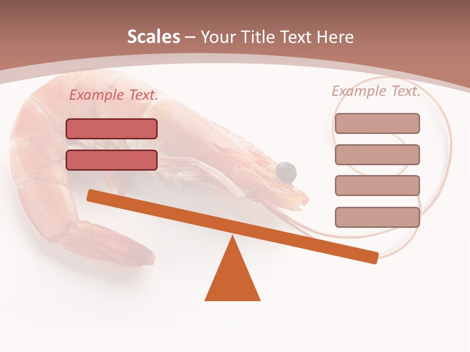 Shrimp Prawn Shellfish PowerPoint Template