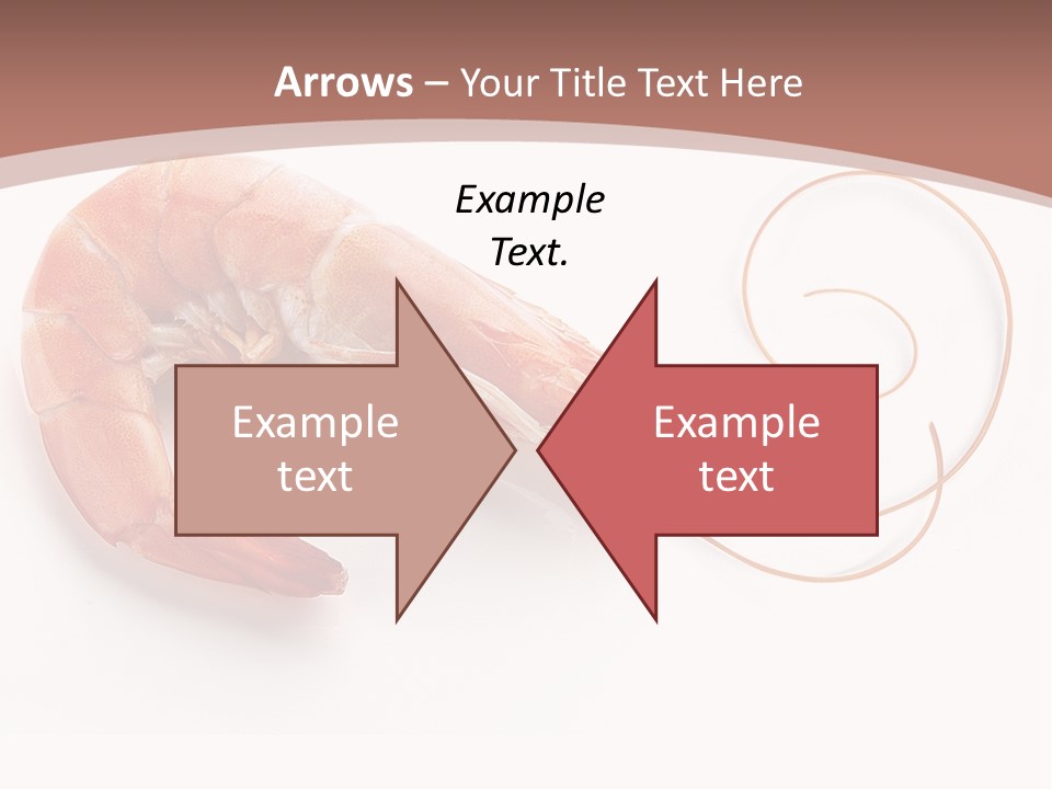 Shrimp Prawn Shellfish PowerPoint Template