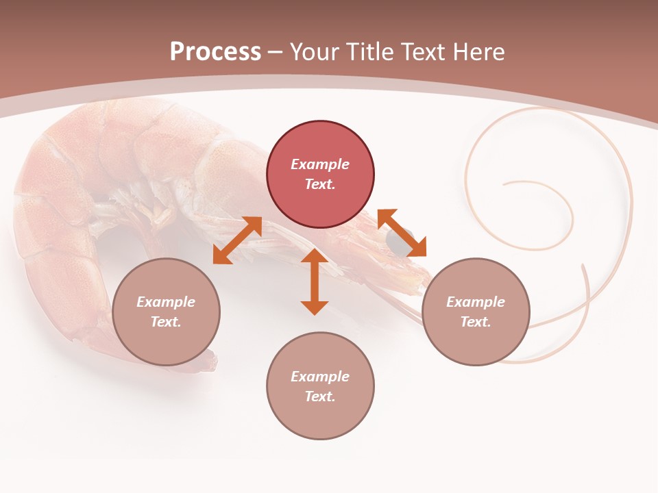 Shrimp Prawn Shellfish PowerPoint Template