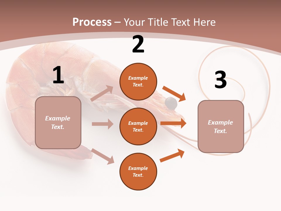 Shrimp Prawn Shellfish PowerPoint Template