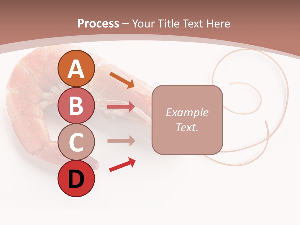 Shrimp Prawn Shellfish PowerPoint Template