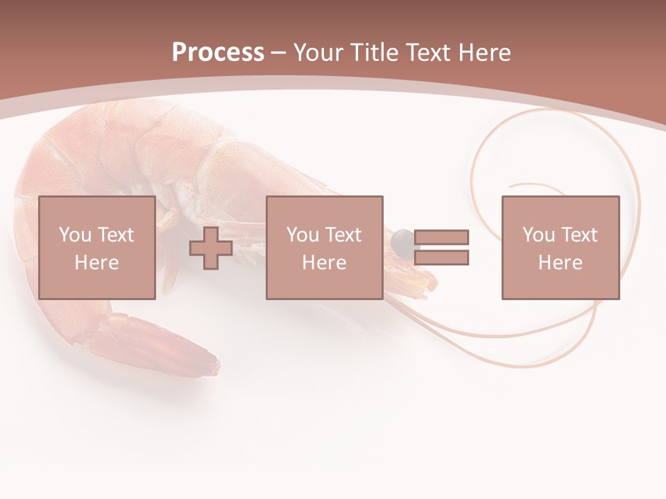 Shrimp Prawn Shellfish PowerPoint Template