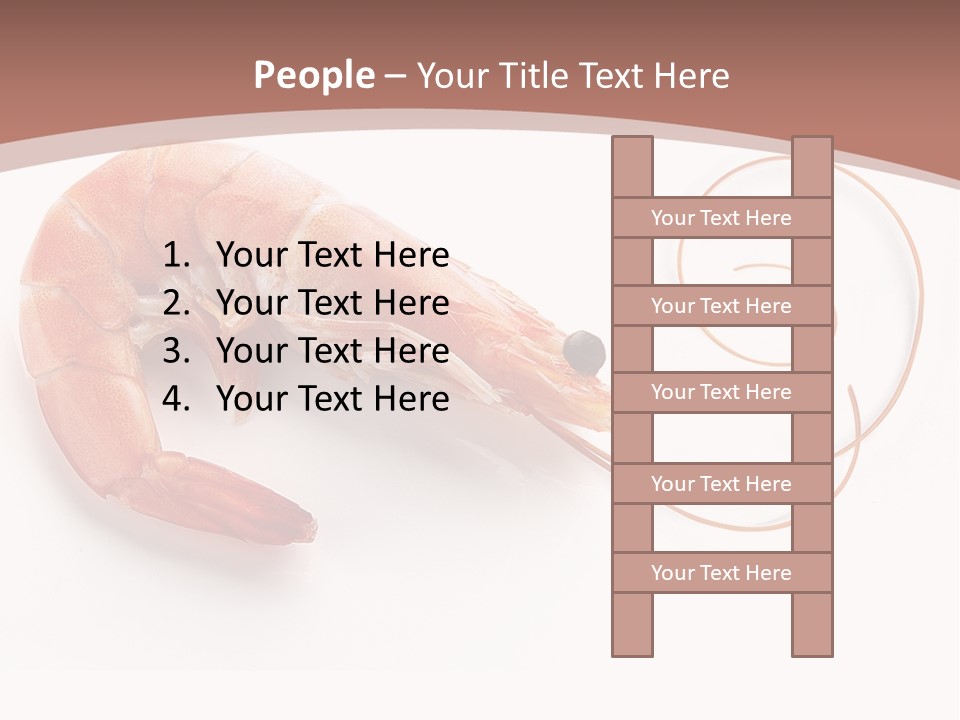 Shrimp Prawn Shellfish PowerPoint Template