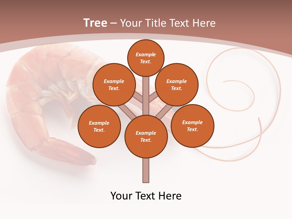 Shrimp Prawn Shellfish PowerPoint Template