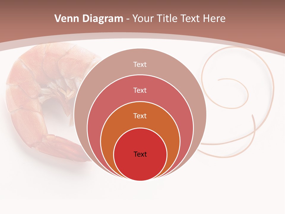 Shrimp Prawn Shellfish PowerPoint Template