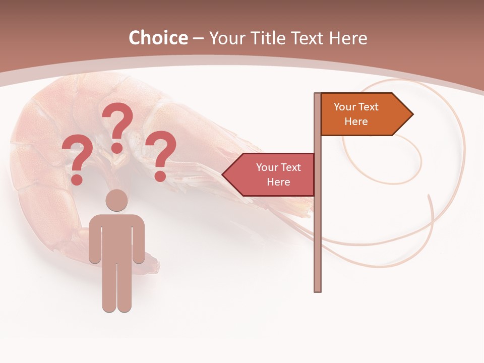 Shrimp Prawn Shellfish PowerPoint Template