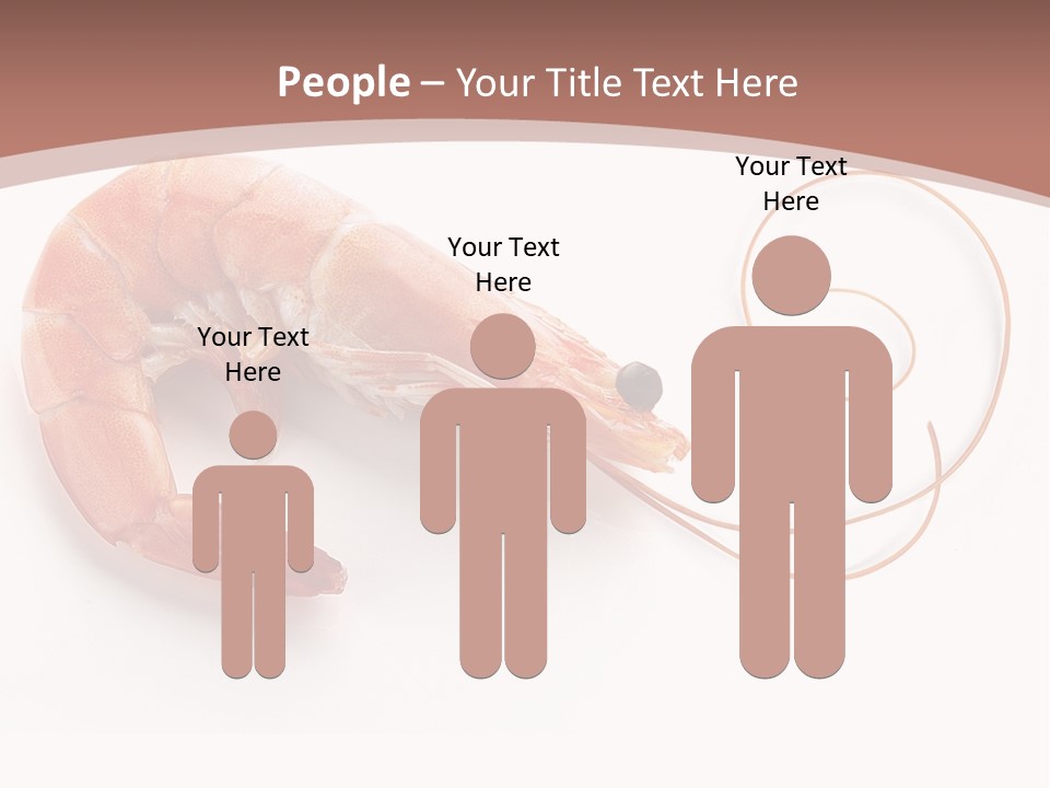 Shrimp Prawn Shellfish PowerPoint Template