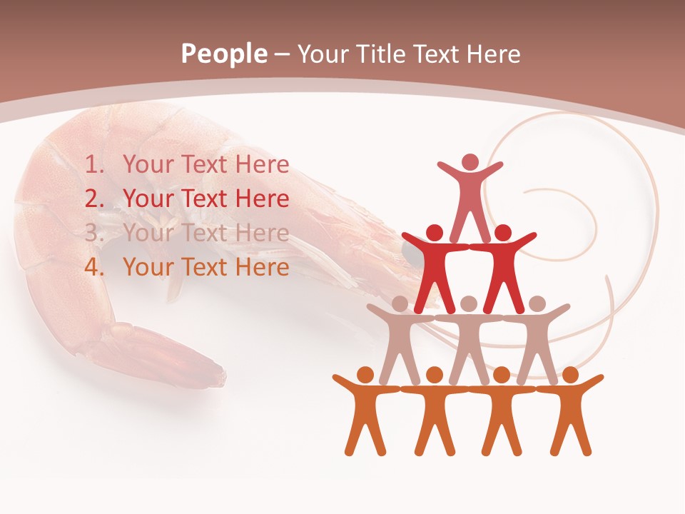 Shrimp Prawn Shellfish PowerPoint Template