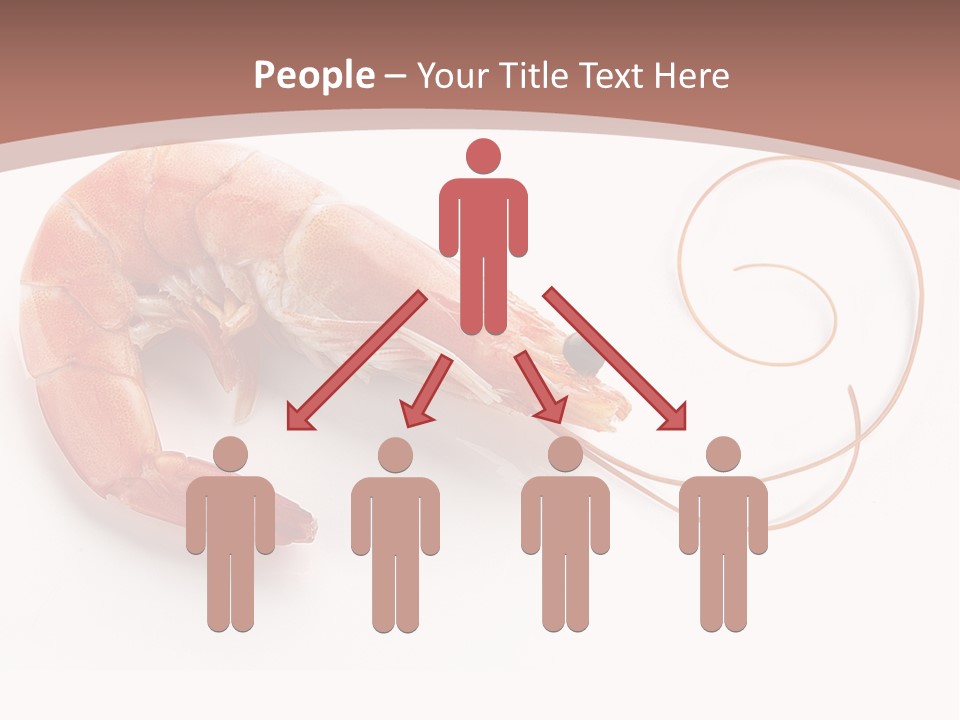 Shrimp Prawn Shellfish PowerPoint Template