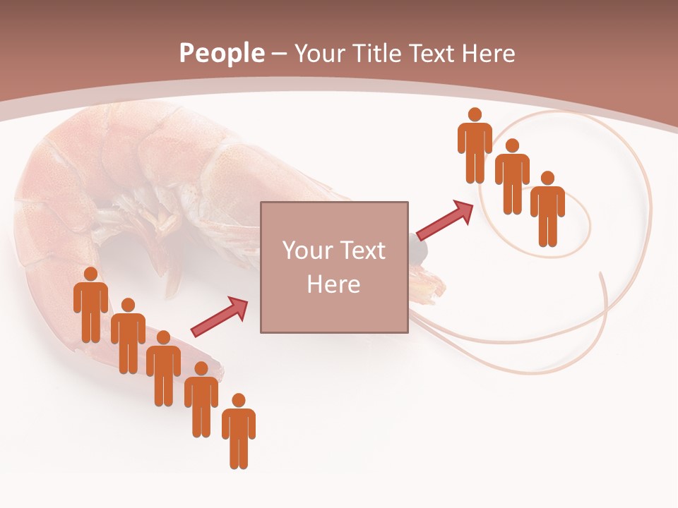 Shrimp Prawn Shellfish PowerPoint Template