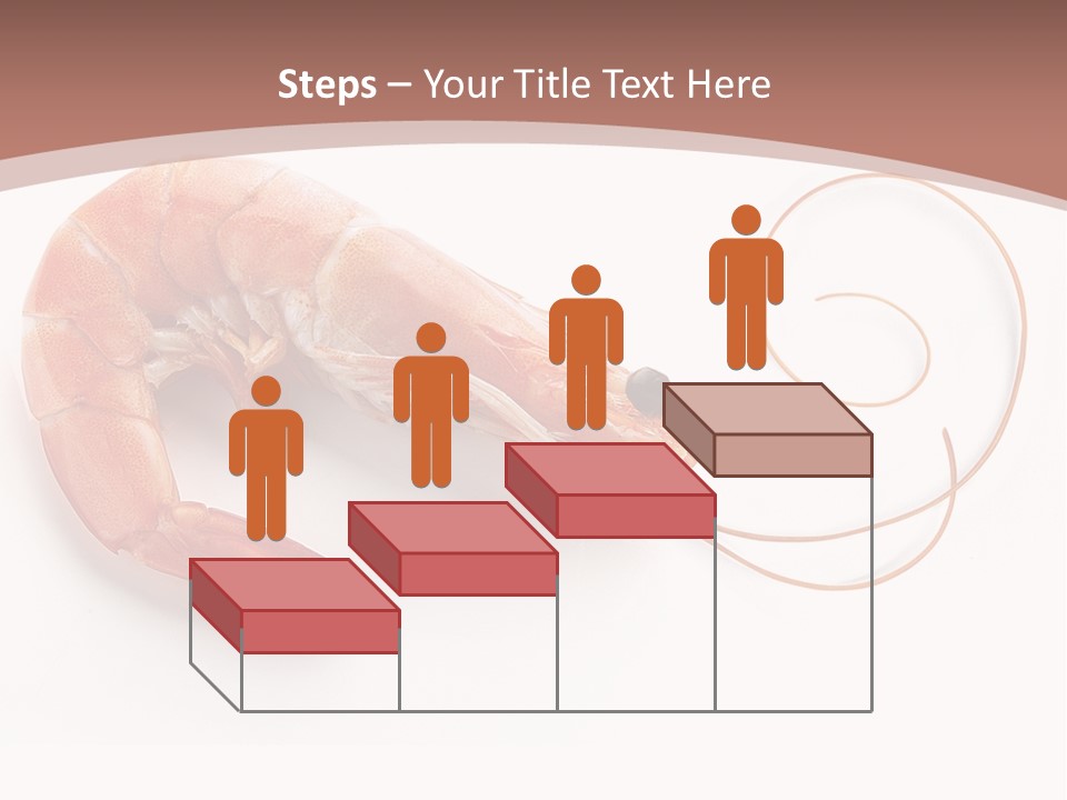 Shrimp Prawn Shellfish PowerPoint Template