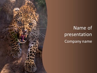 Africa Speed Tiger PowerPoint Template