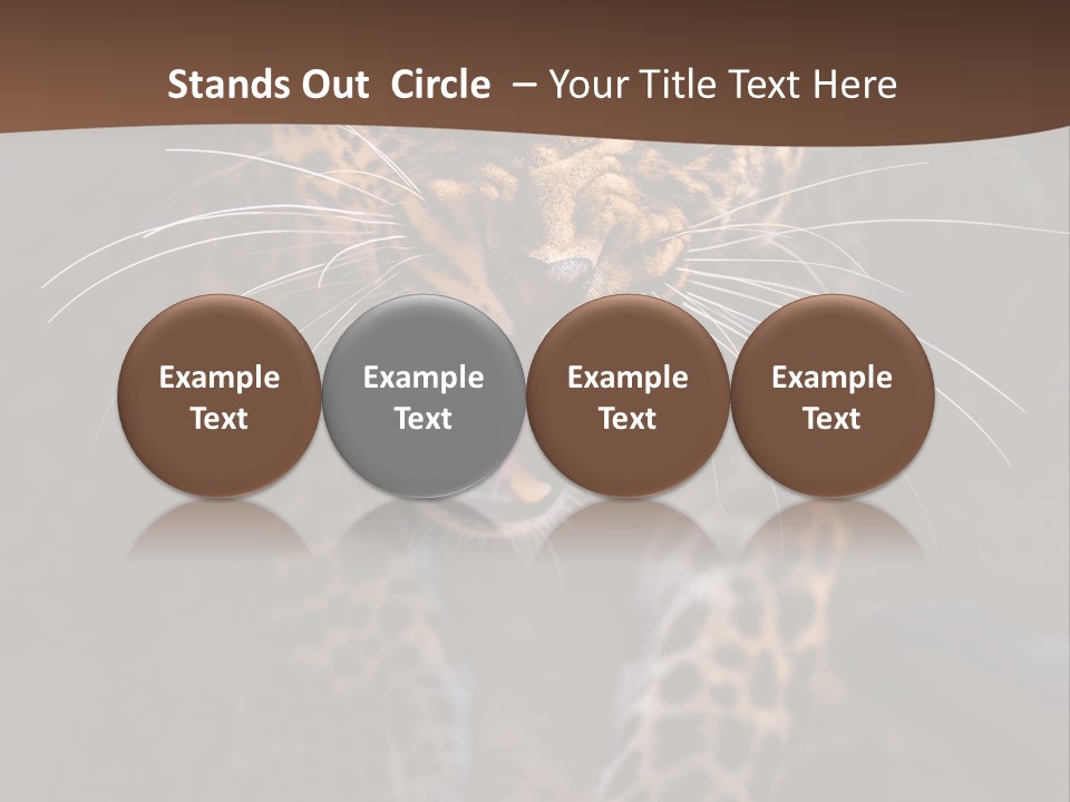 Africa Speed Tiger PowerPoint Template
