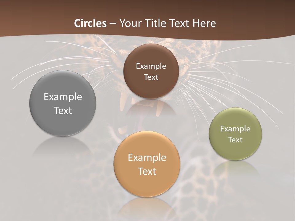 Africa Speed Tiger PowerPoint Template