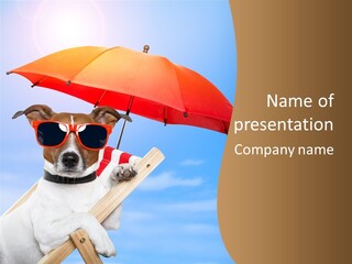 Blank Summer Tropical PowerPoint Template