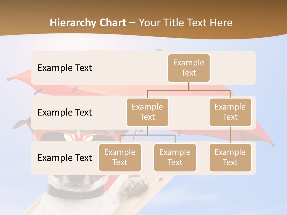 Blank Summer Tropical PowerPoint Template