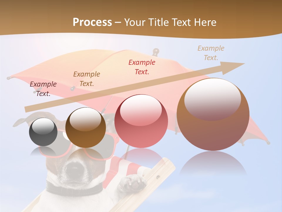 Blank Summer Tropical PowerPoint Template