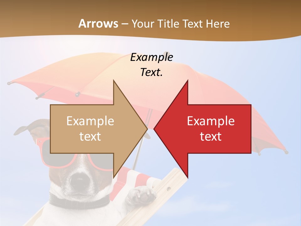 Blank Summer Tropical PowerPoint Template