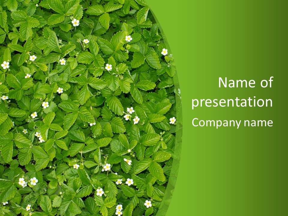 Green Organic Leaf PowerPoint Template