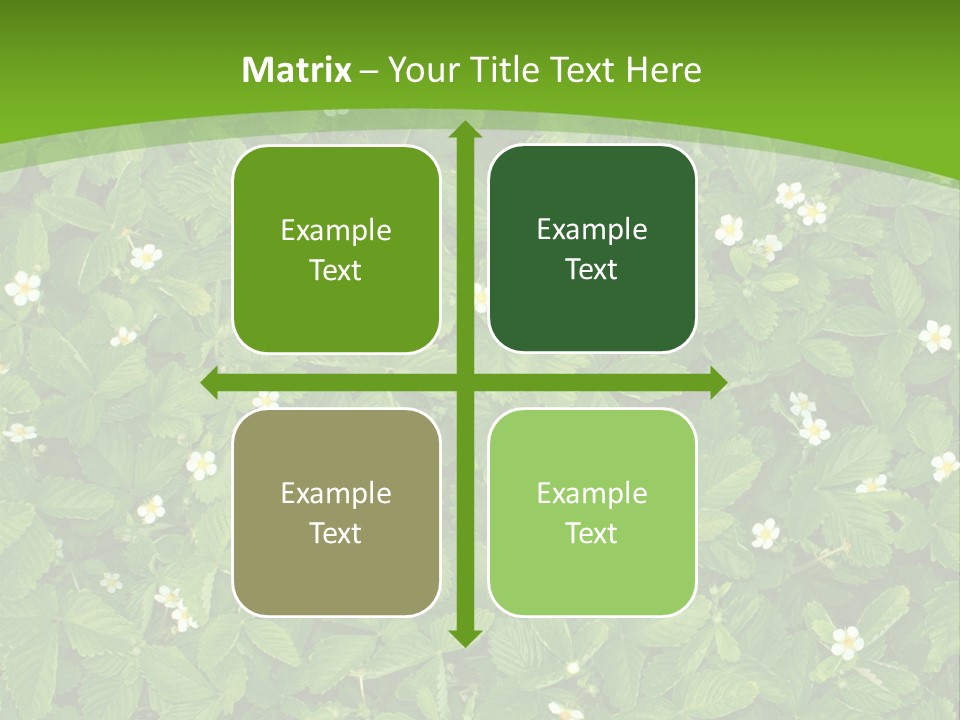 Green Organic Leaf PowerPoint Template