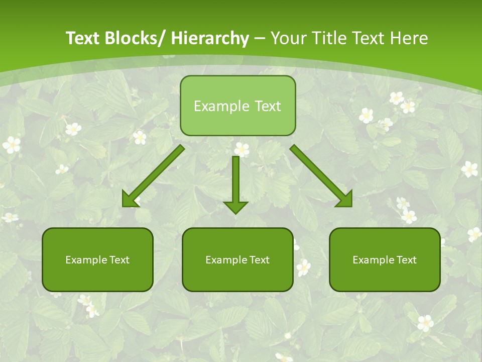 Green Organic Leaf PowerPoint Template