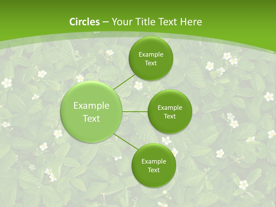 Green Organic Leaf PowerPoint Template