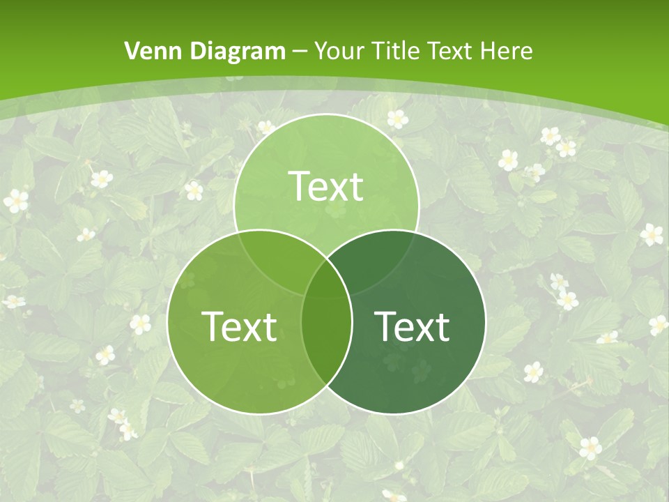 Green Organic Leaf PowerPoint Template