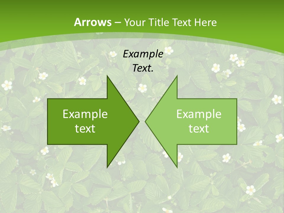 Green Organic Leaf PowerPoint Template