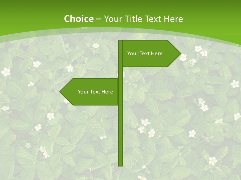 Green Organic Leaf PowerPoint Template