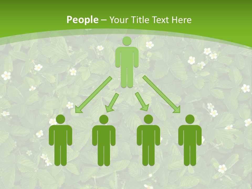 Green Organic Leaf PowerPoint Template