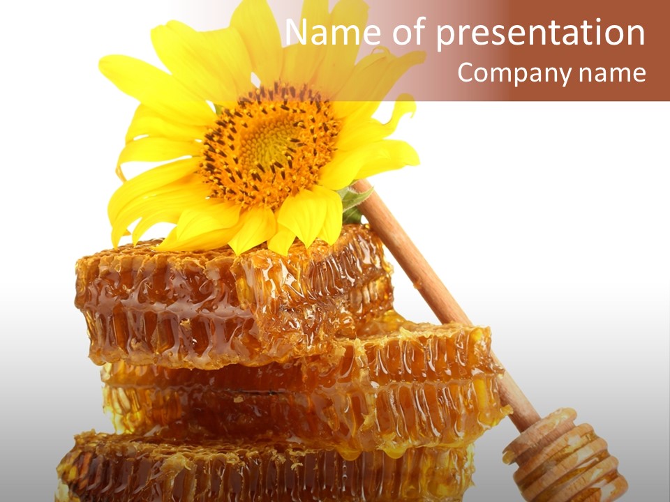 White Sunflower Stick PowerPoint Template