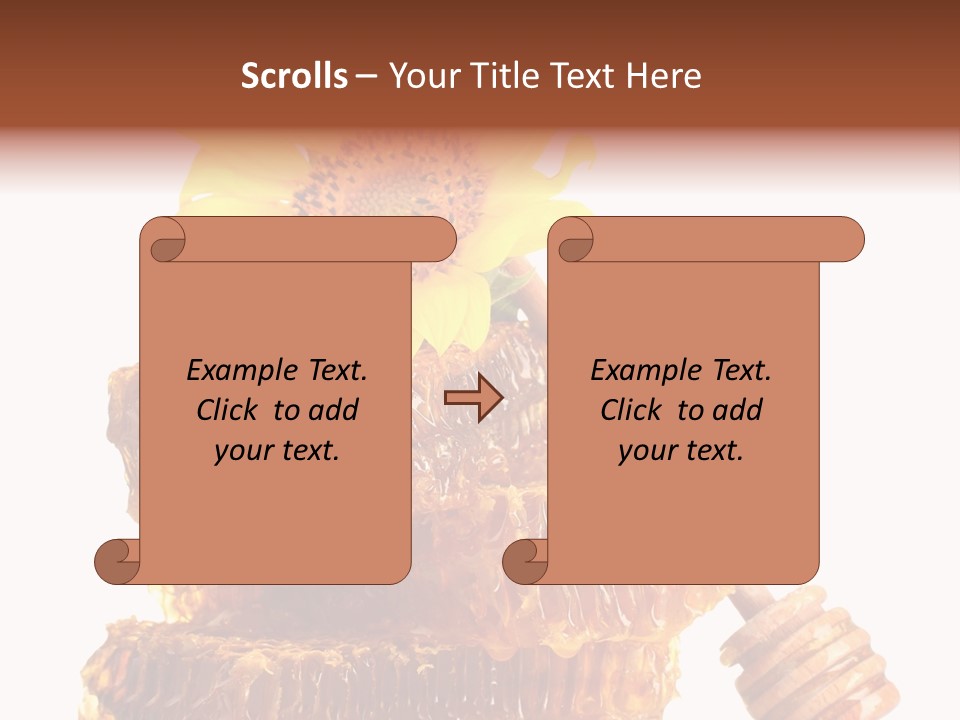 White Sunflower Stick PowerPoint Template