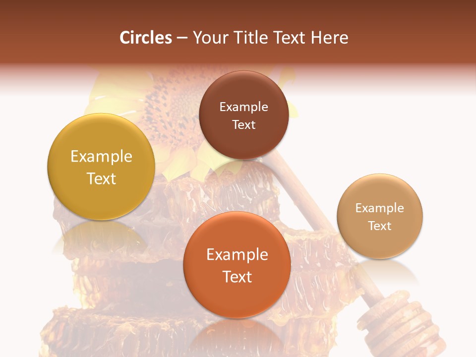 White Sunflower Stick PowerPoint Template