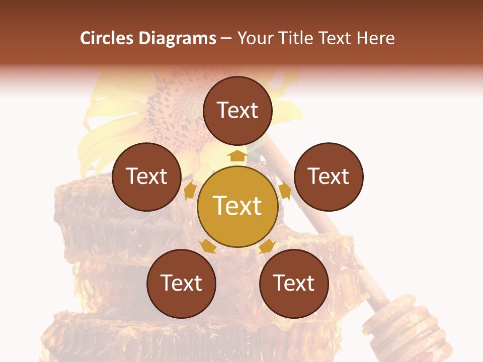 White Sunflower Stick PowerPoint Template