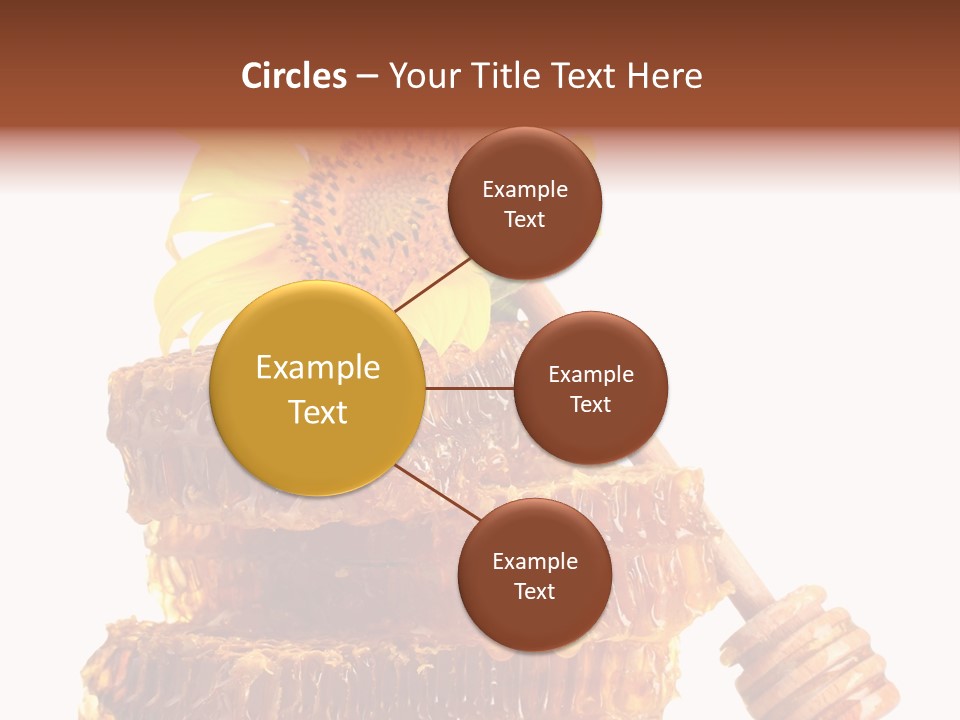 White Sunflower Stick PowerPoint Template