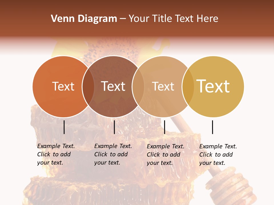 White Sunflower Stick PowerPoint Template
