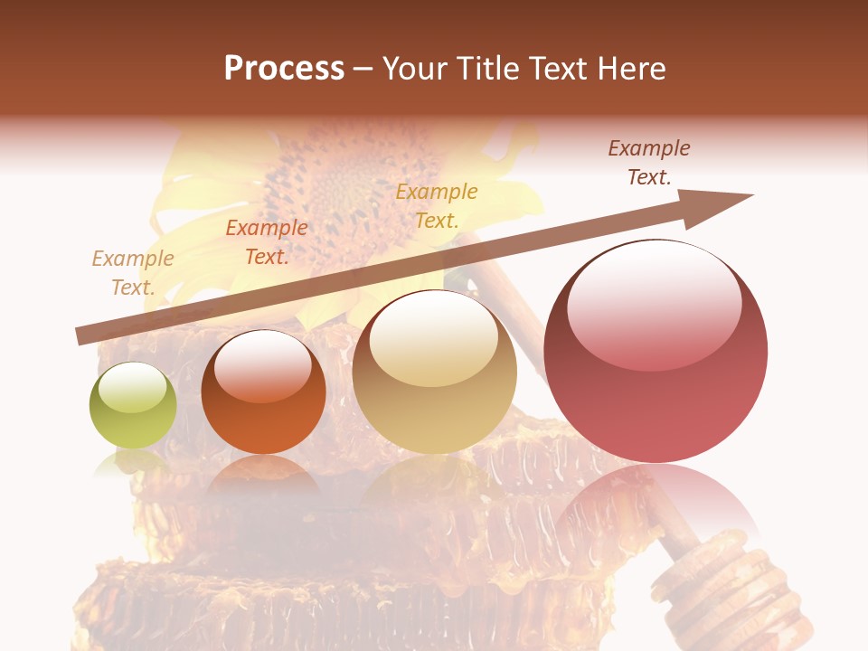 White Sunflower Stick PowerPoint Template