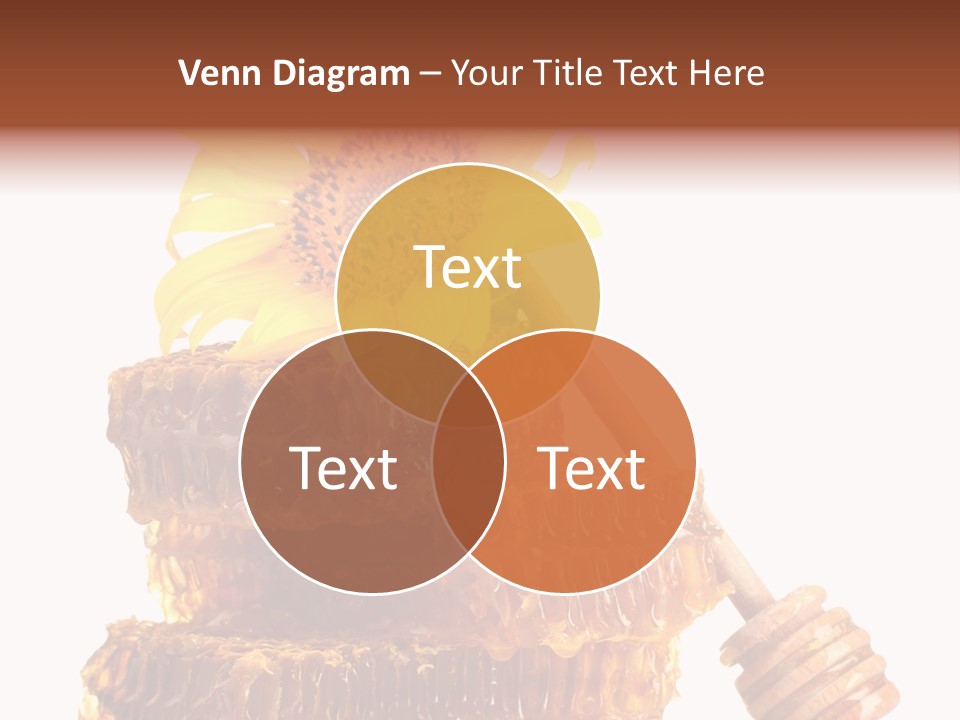 White Sunflower Stick PowerPoint Template