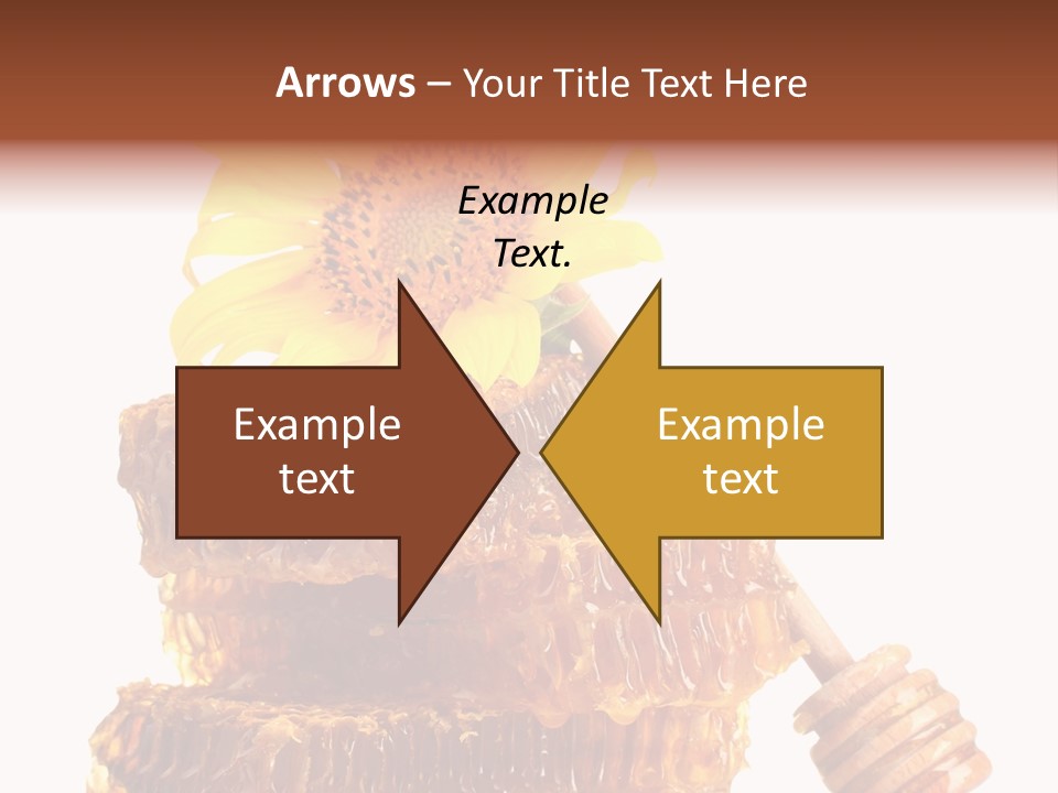 White Sunflower Stick PowerPoint Template
