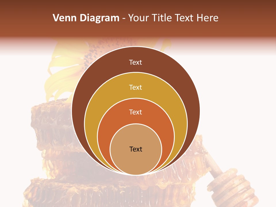 White Sunflower Stick PowerPoint Template