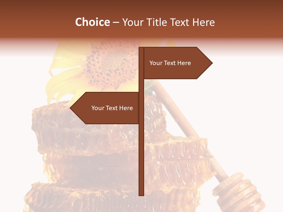 White Sunflower Stick PowerPoint Template