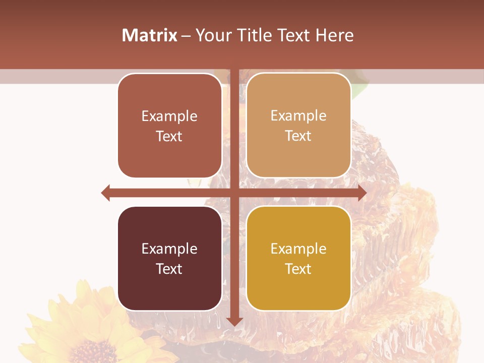 Insect Wax Nature PowerPoint Template