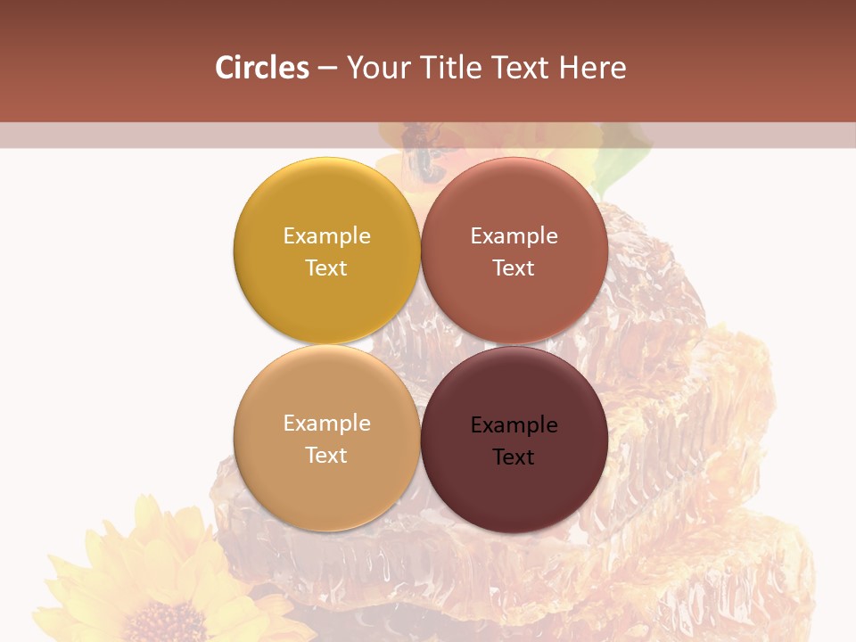 Insect Wax Nature PowerPoint Template