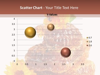 Insect Wax Nature PowerPoint Template