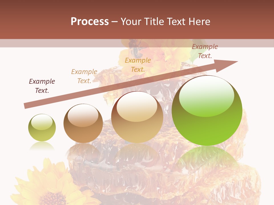 Insect Wax Nature PowerPoint Template