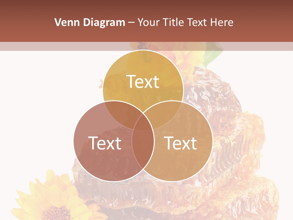 Insect Wax Nature PowerPoint Template