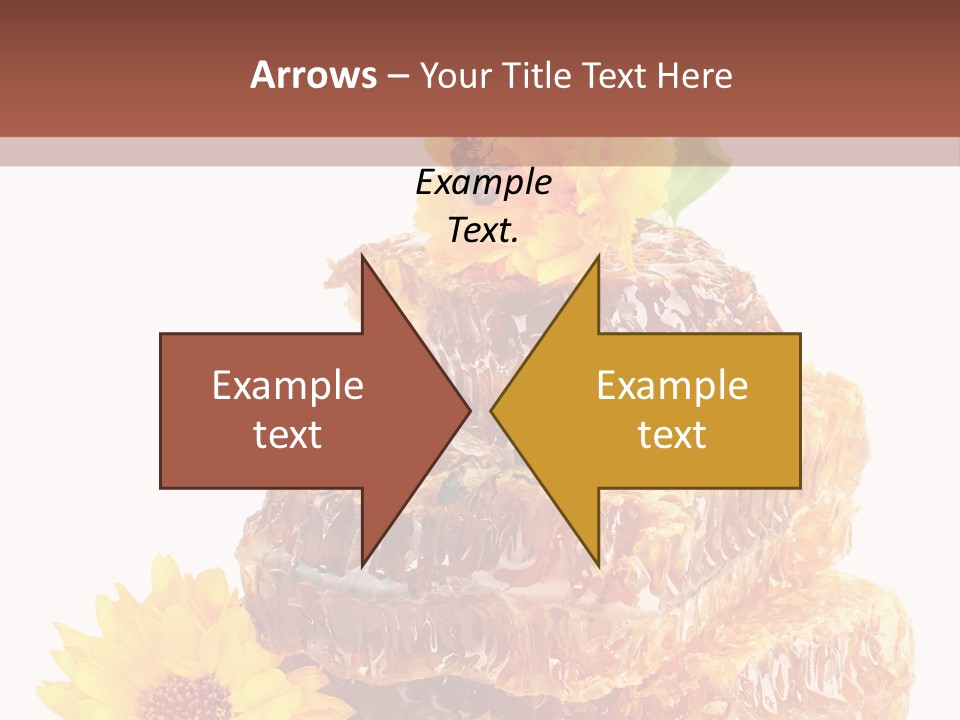 Insect Wax Nature PowerPoint Template
